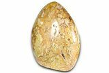Free-Standing Polished Brecciated Polychrome Jasper - Madagascar #360480-1